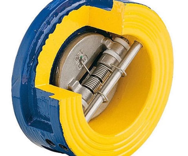 Disc check Valve double door
