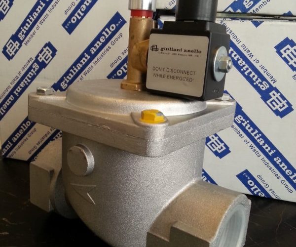 Gas safety valve (1)