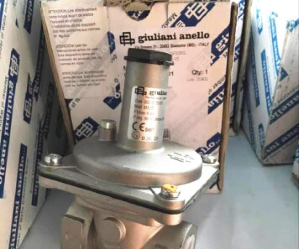 Gas safety valve (2)