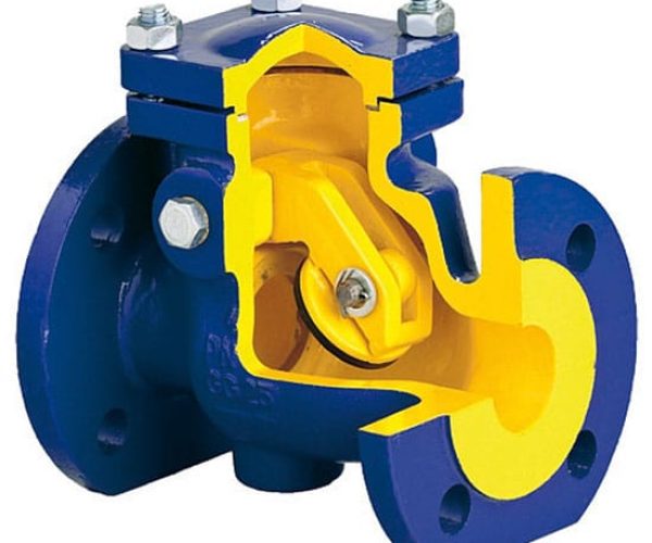 Swing check valve